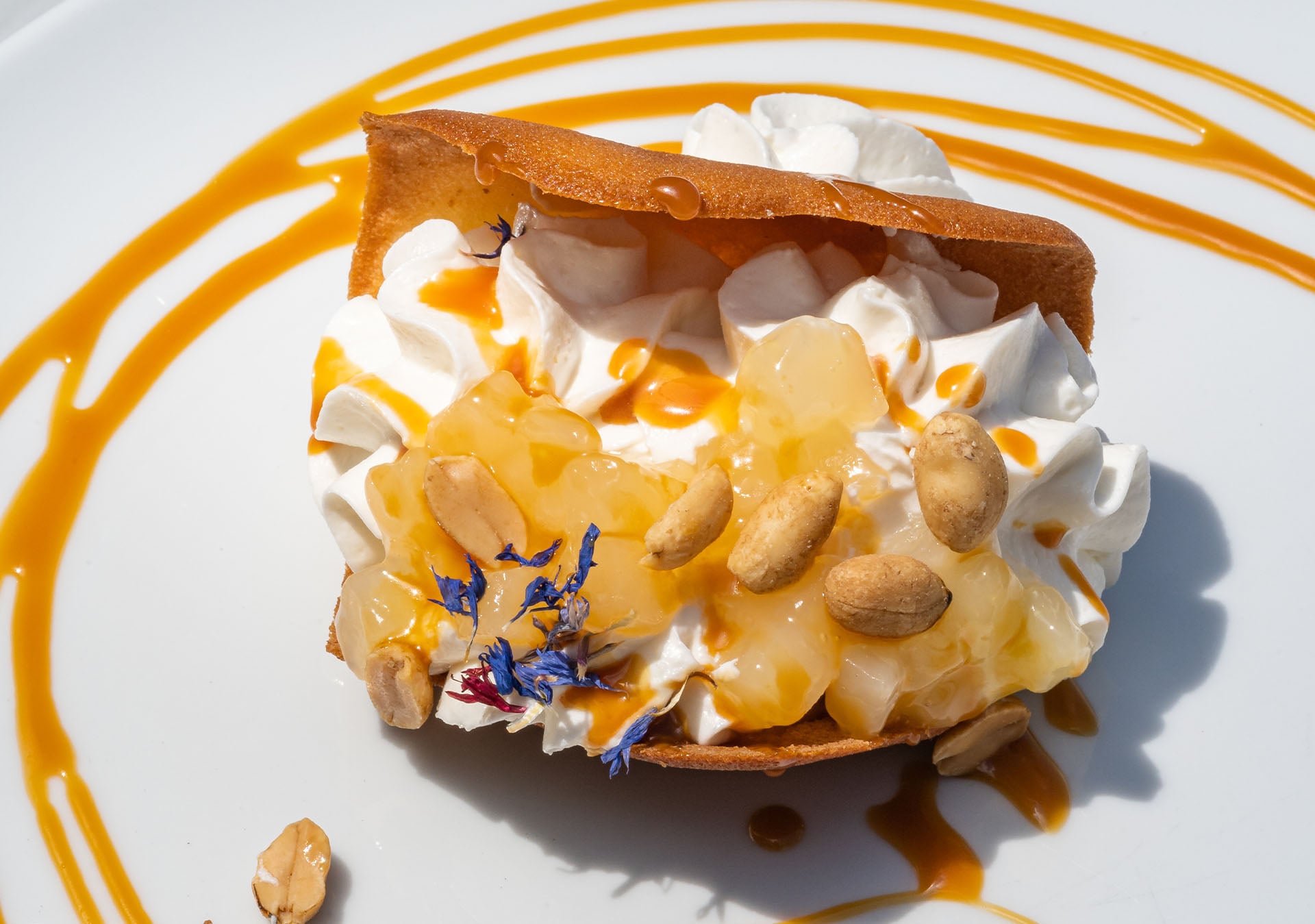 Hotel Corallo Sorrento Ristorante 010